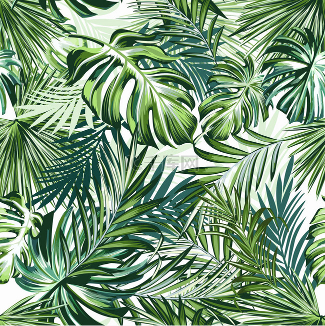 美丽的热带图案与绿色棕榈叶的设