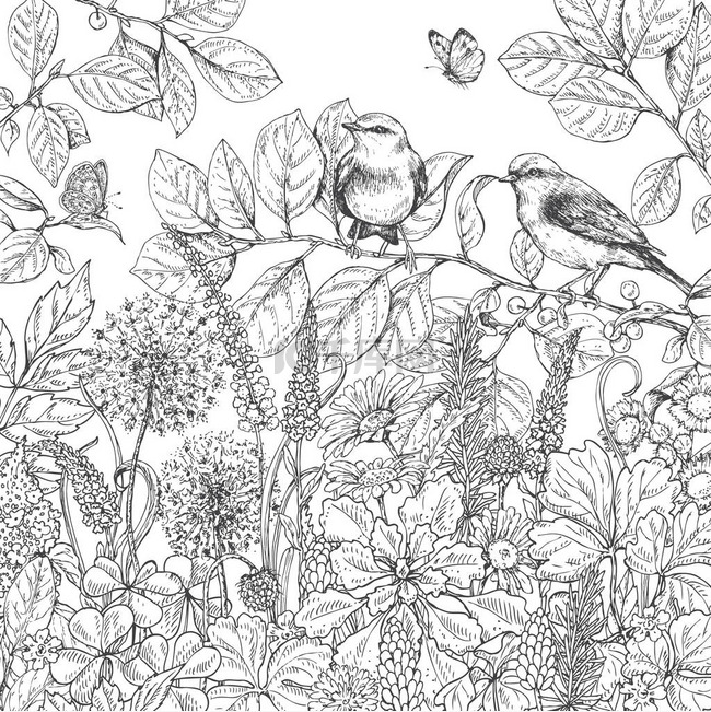 手工绘制的野花、 蝴蝶和小鸟.