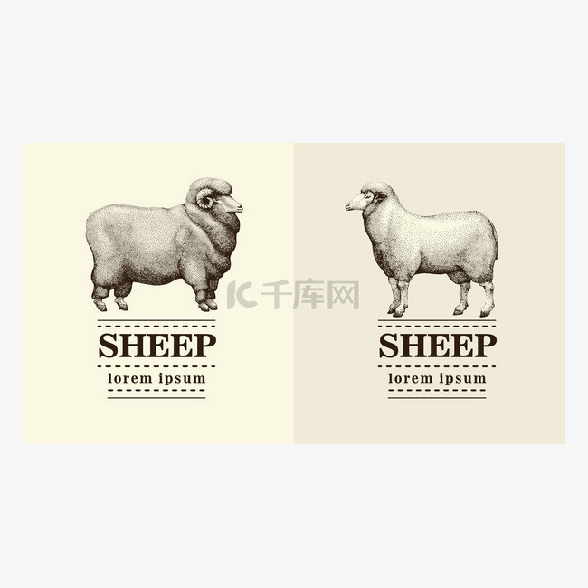 剪影羊，logo 模板矢量手绘插图.