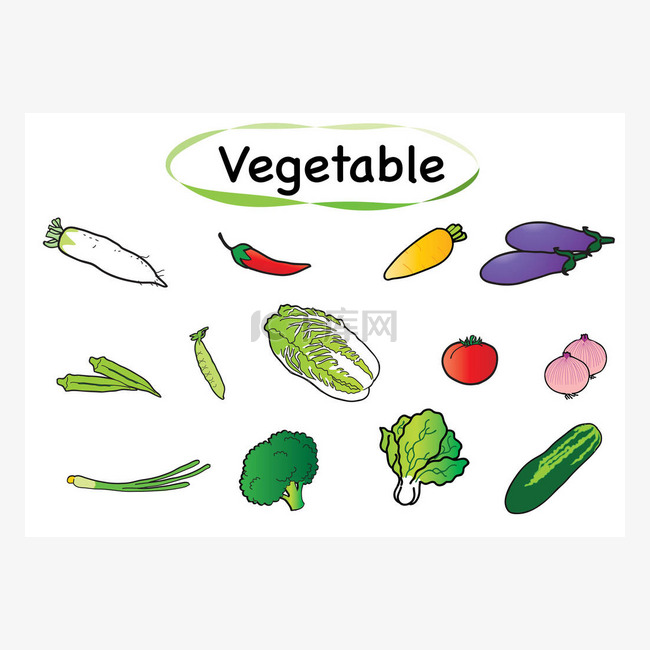 蔬菜及食物的病媒集