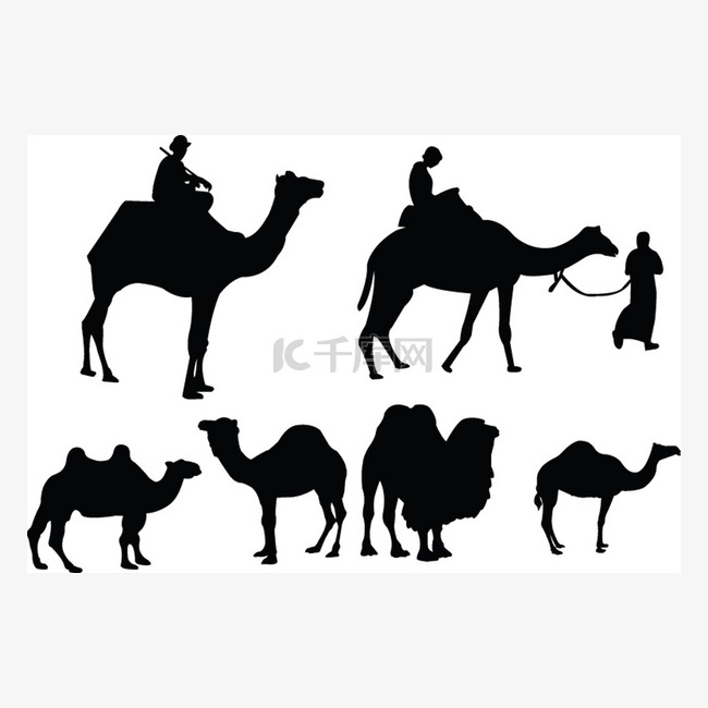 骆驼集合-矢量