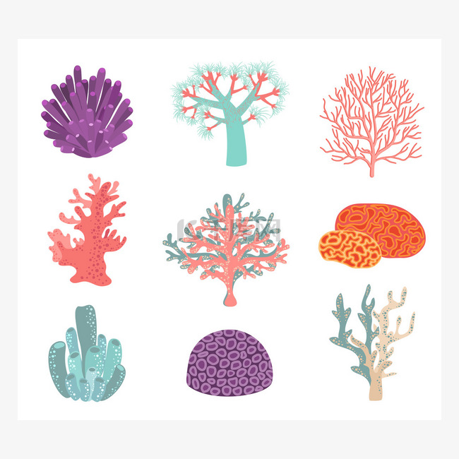 Set of underwater color coral icons