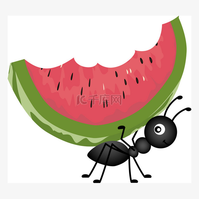 蚂蚁携带西瓜