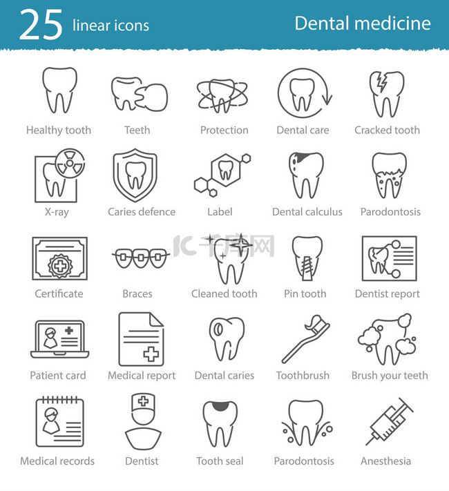 牙科医学细线图标