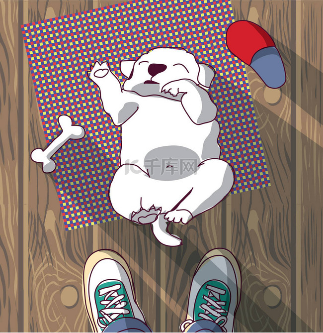 小狗睡在地上 