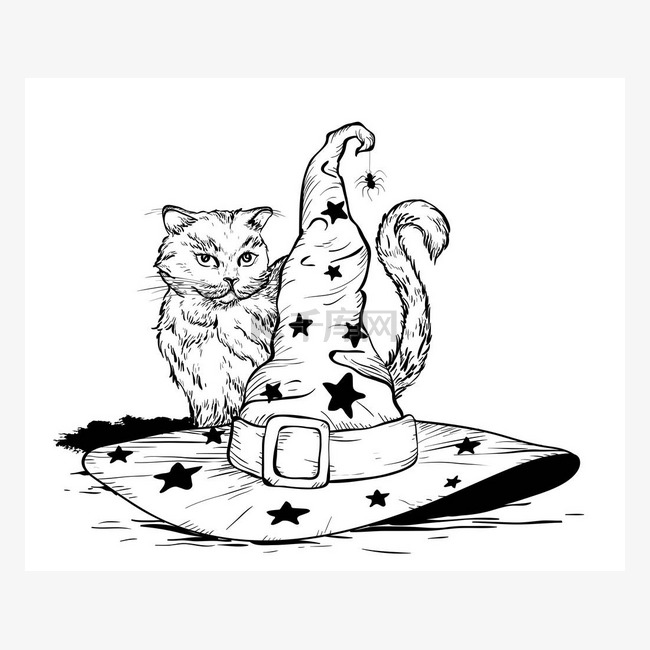 猫和巫师帽。万圣节的概念。黑白