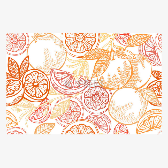 精致无缝的柚子图案,设计元素.