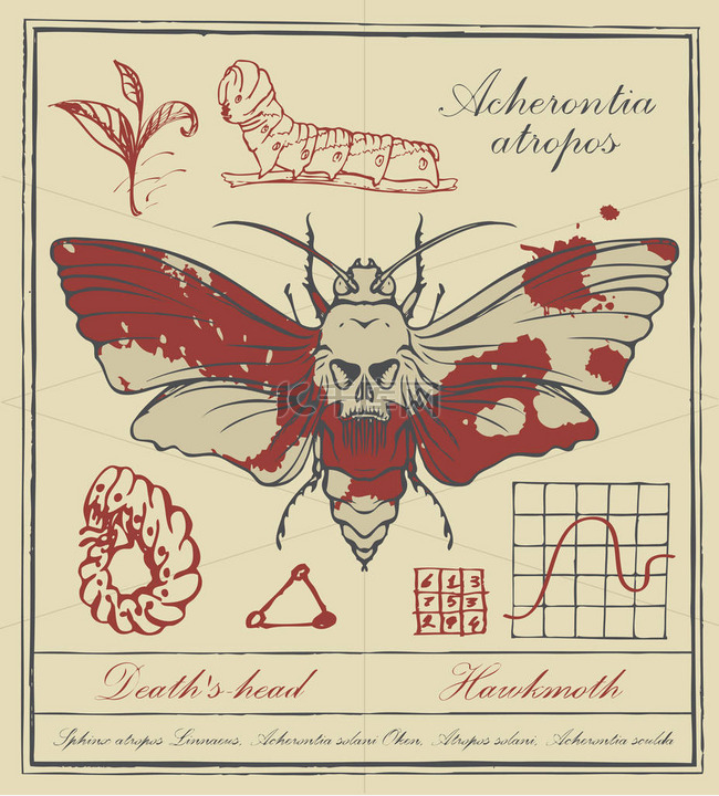 矢量横幅与图画 Acheron