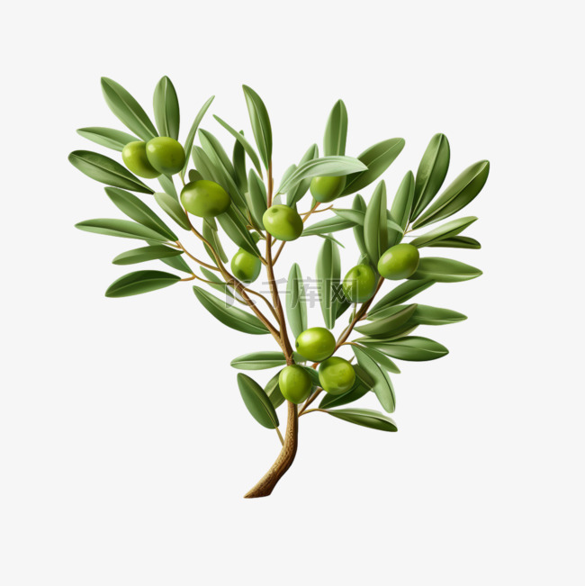 橄榄茂盛植物元素立体免扣图案