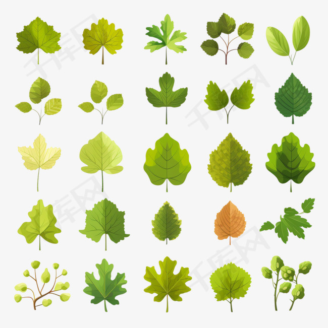 绿树，树叶，扁平的图标，橡树，