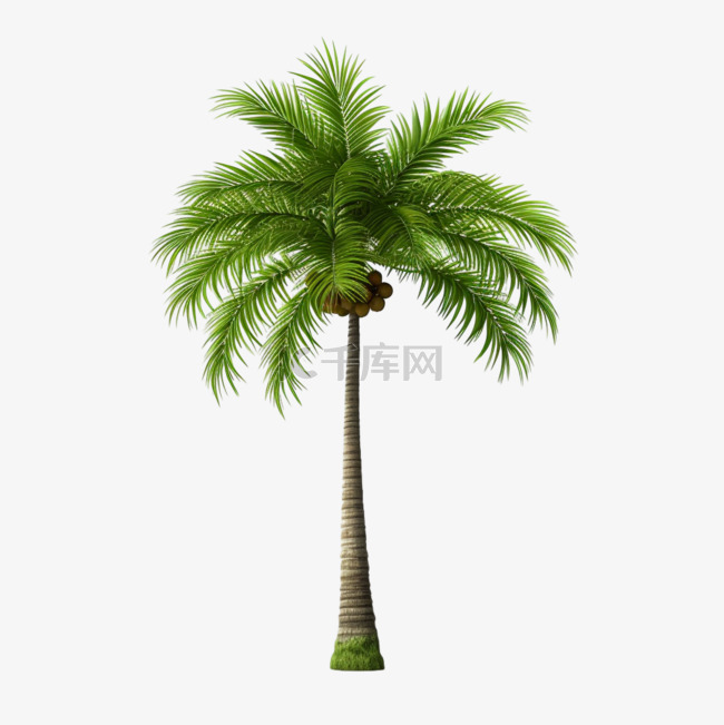 椰树棕榈树木头元素立体免扣图案