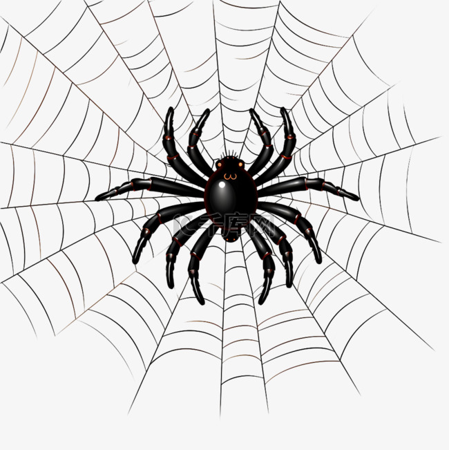 万圣节蜘蛛织网手绘卡通元素