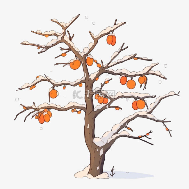 冬天覆盖雪的柿子树卡通手绘元素