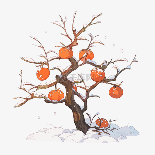 覆盖雪的柿子树卡通手绘元素冬天