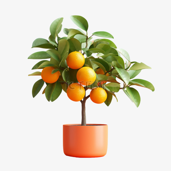 建模橘子盆栽元素立体免抠图案