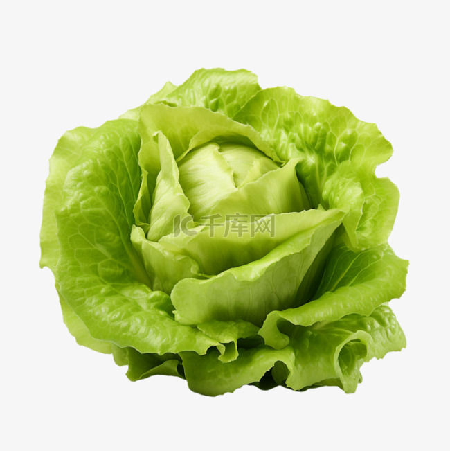 造型蔬菜白菜元素立体免扣图案
