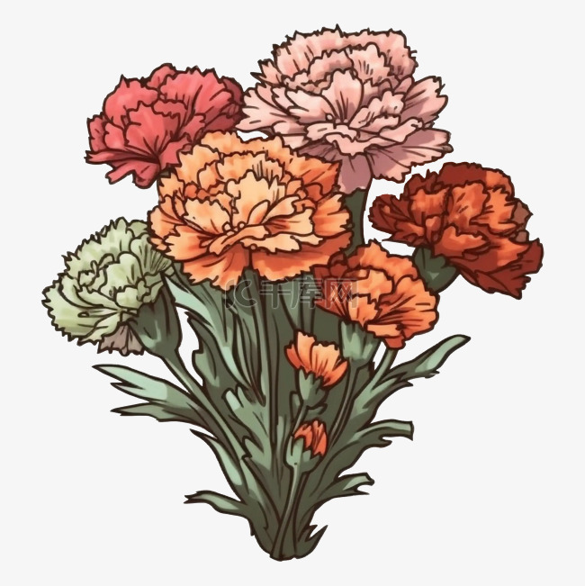 康乃馨花束彩色图案