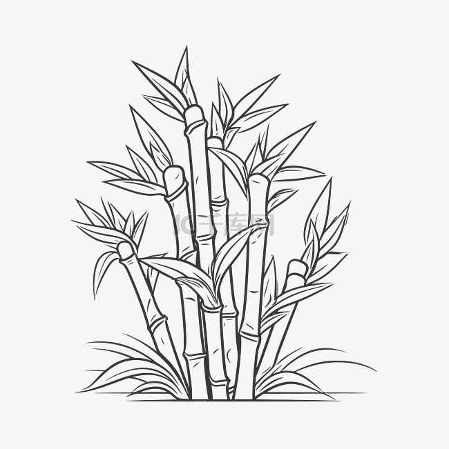 竹子植物线条艺术插图手绘矢量 