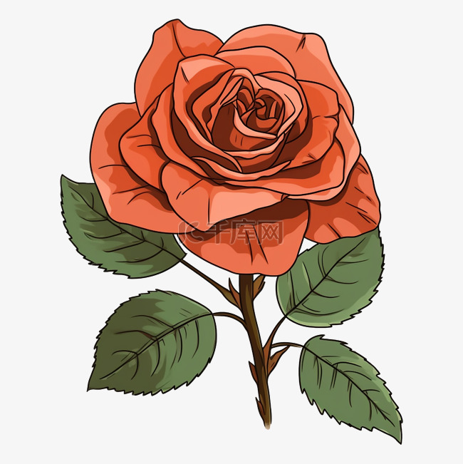 玫瑰红色美丽图案