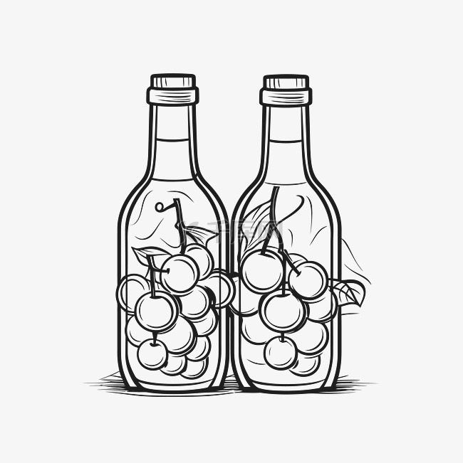 两瓶葡萄矢量插图轮廓素描