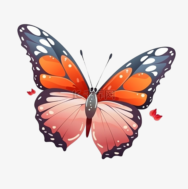 蝴蝶彩色美丽昆虫