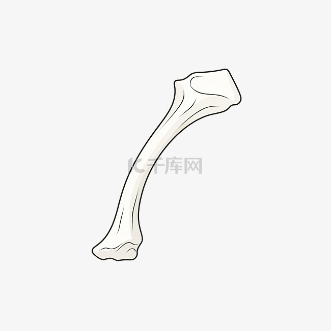 简约风格的骨头插图素材图片免费下载-千库网