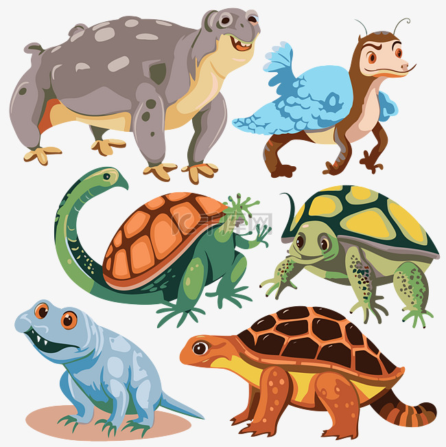 白色背景上的物种剪贴画卡通海龟