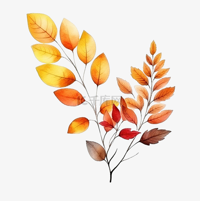 秋天植物水彩元素