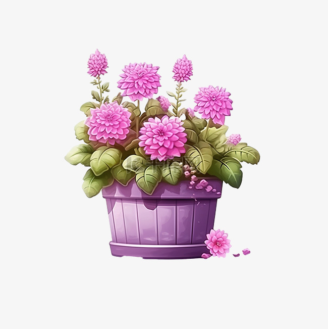 紫色盆中的粉色花朵，现实风格的