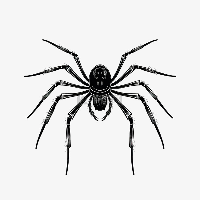 黑色涂鸦蜘蛛