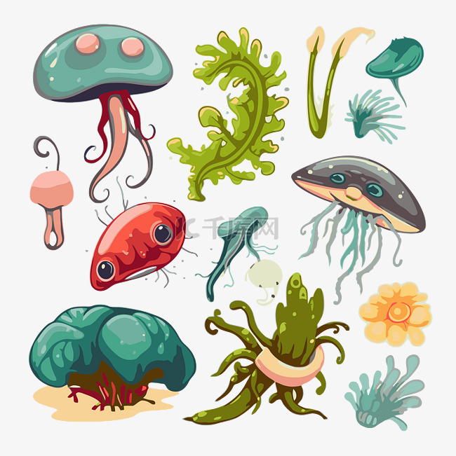 生物剪贴画真菌和其他水下人物卡