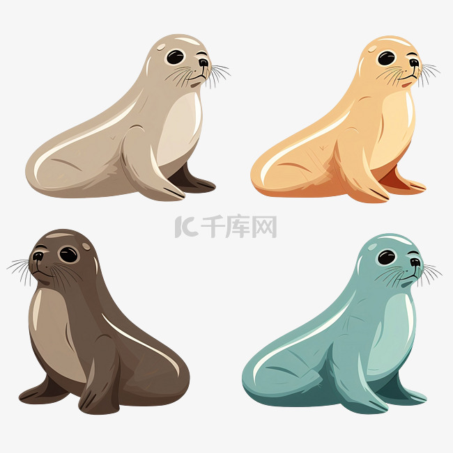 海豹动物颜色