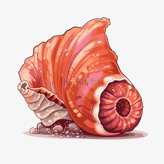 海螺剪贴画大粉红色海贝壳是背景