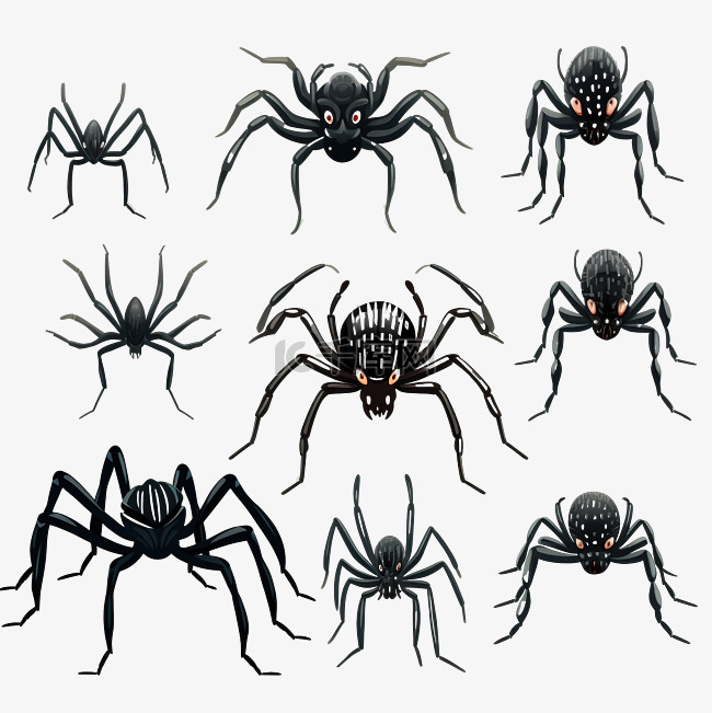 一套卡通黑色有毒爬行蜘蛛