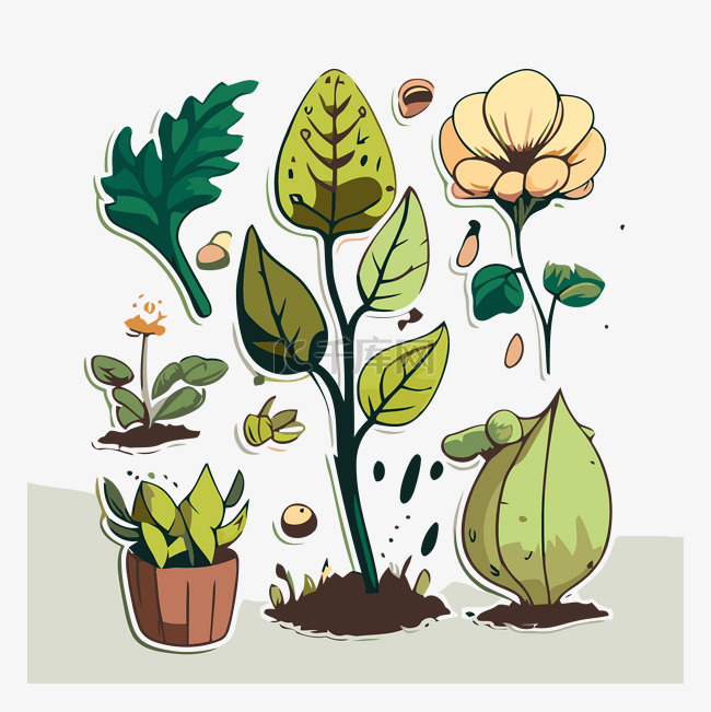 灰色背景矢量图上的卡通植物插图