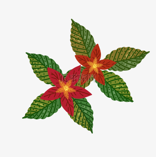 圣诞一品红花环植物装饰