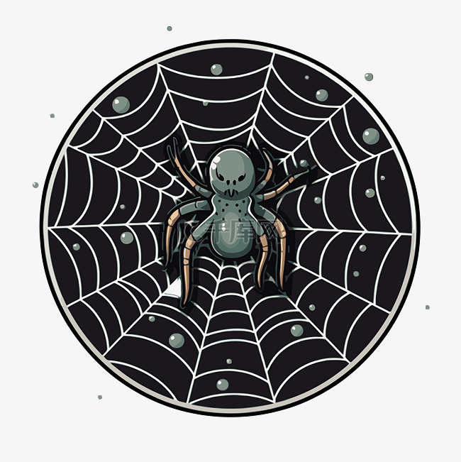 蜘蛛坐在深色背景上的圆形框架中