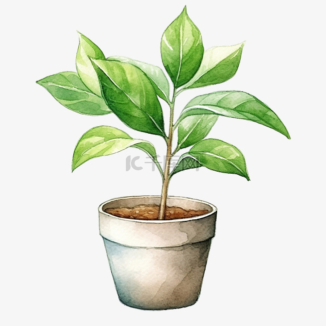 生态友好型拯救地球种植植物盆栽