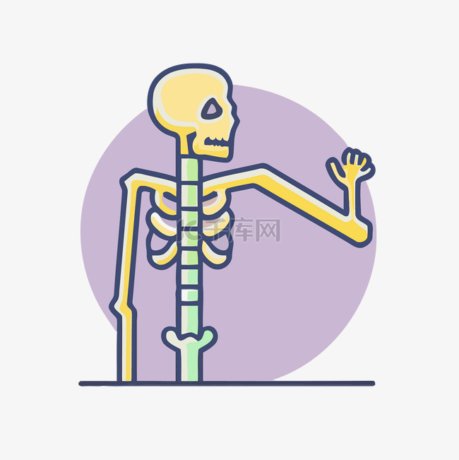 骨骼结构与健康线条艺术插画 向