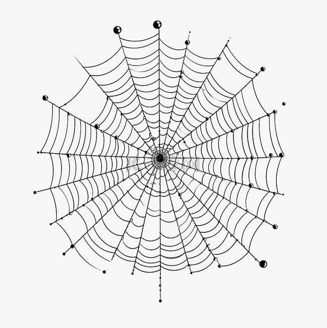 万圣节蜘蛛网和蜘蛛网元素