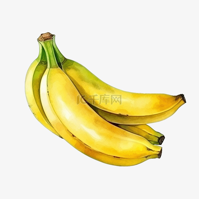 水彩香蕉水果
