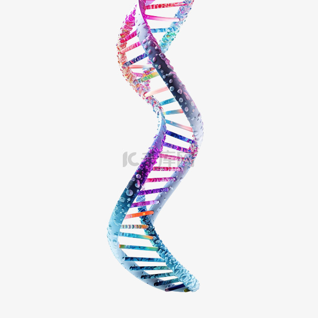 DNA基因组