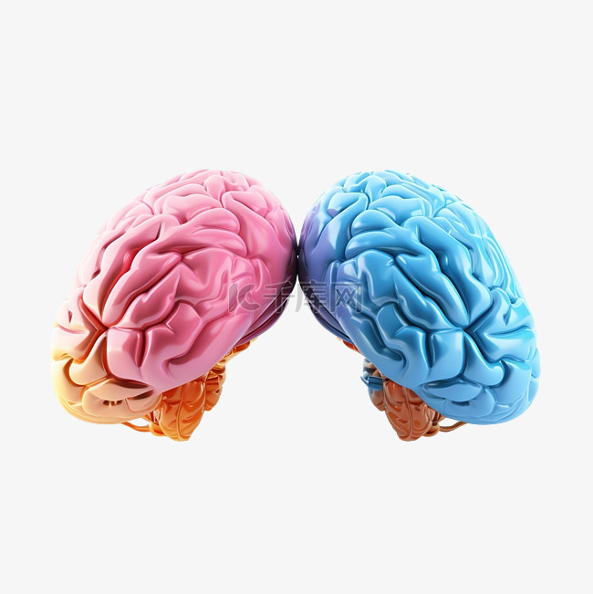 人脑有两种颜色