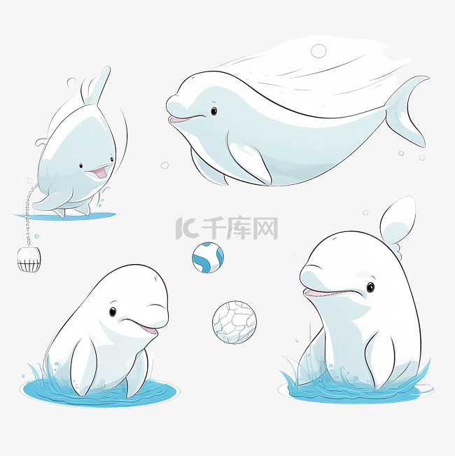 一组有趣的白鲸画着一幅玩条纹球