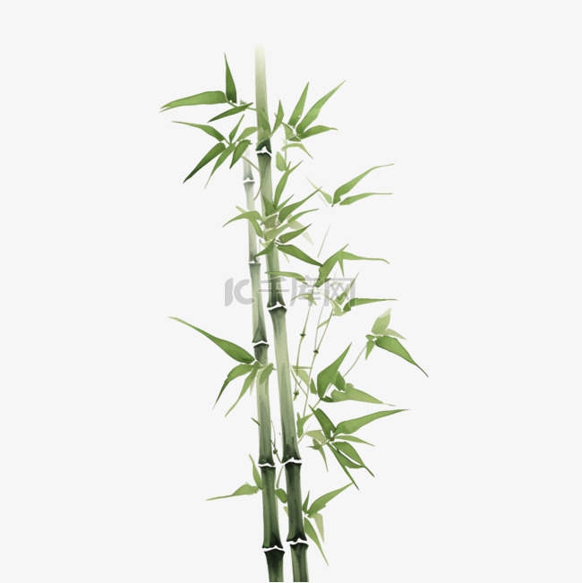 矢量绿色竹子元素立体免抠图案