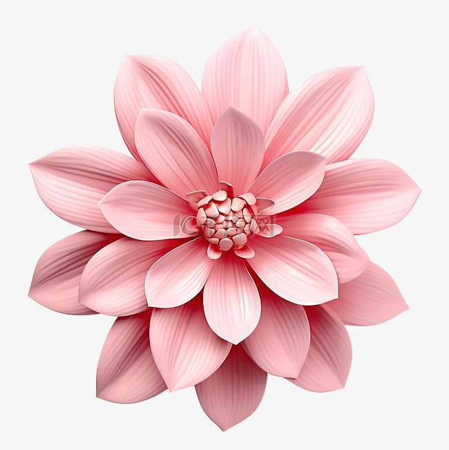 粉红色的花 3d 渲染