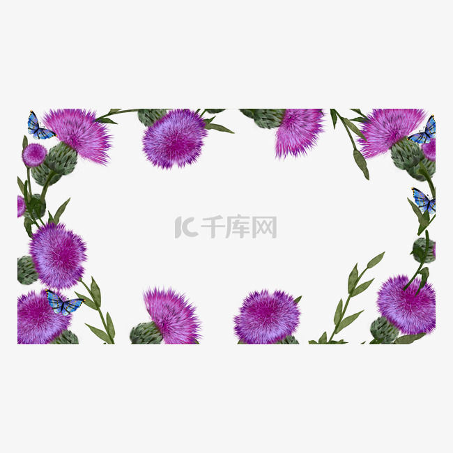 蓟紫色花卉水彩边框