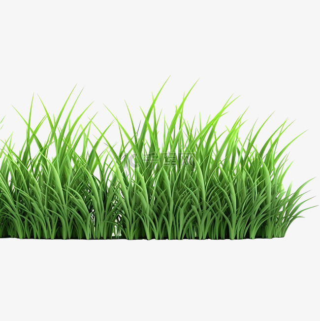 3d 孤立的绿草