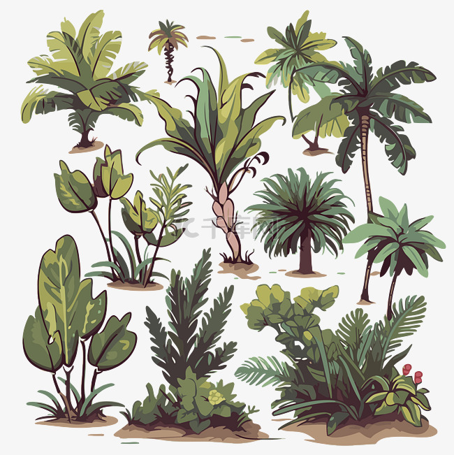 丛林植物剪贴画热带植物和树木卡