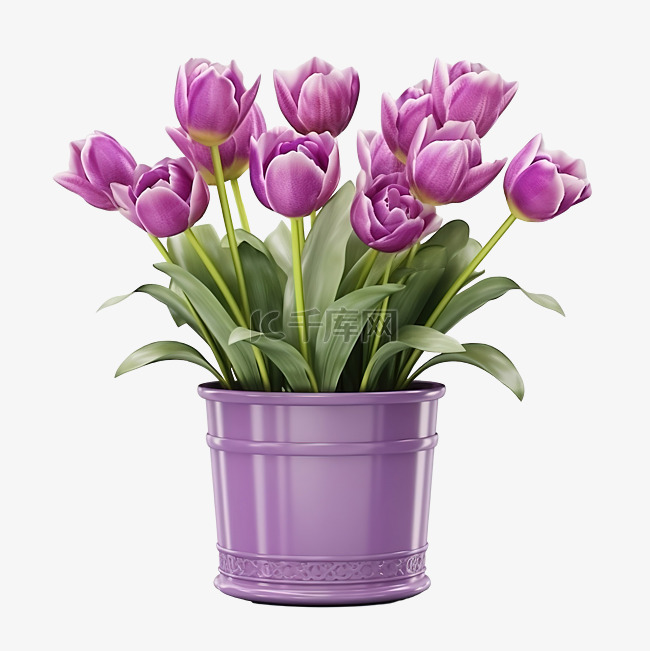 3d 渲染迷人的紫色郁金香花盆
